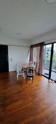 Village @ Pasir Panjang (D5), Condominium #454917221